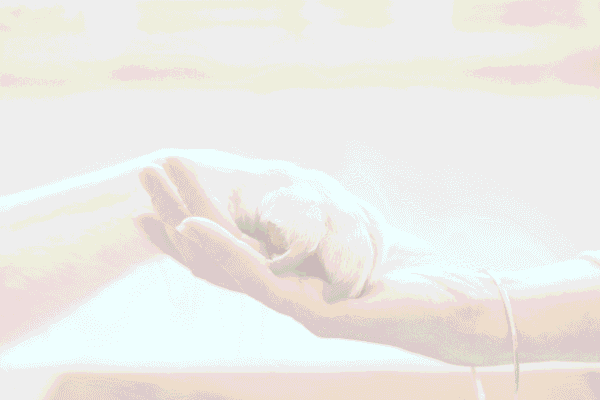 Faire face au deuil d'un animal