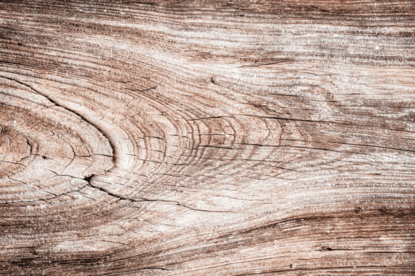 Illustration représentant les différentes étapes du deuil