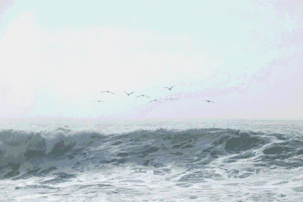 Faire son deuil, réflexion face à la perte